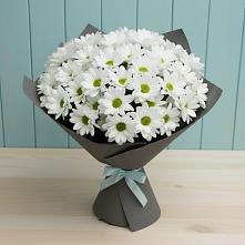 Букет цветов из:  Хризантемы в Троицком Хабаровский край