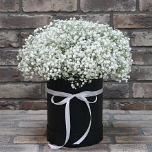 Цветочная композиция из Гипсофила в шляпной коробке #REPLACE_PRED# Троицком Хабаровский край