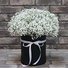 Цветочная композиция из Гипсофила в шляпной коробке в Троицком Хабаровский край